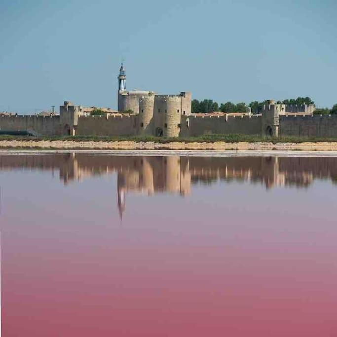 Maison Chaleureuse A 5 Mins Des Remparts Aigues-Mortes Exteriér fotografie