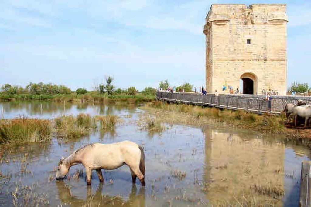 Maison Chaleureuse A 5 Mins Des Remparts Aigues-Mortes Exteriér fotografie