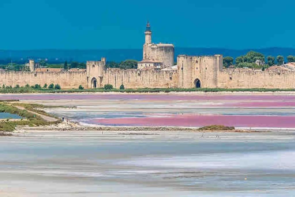 Maison Chaleureuse A 5 Mins Des Remparts Aigues-Mortes Exteriér fotografie